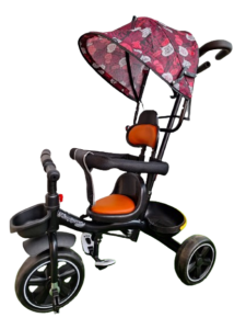 Kids Tricycle with Canopy