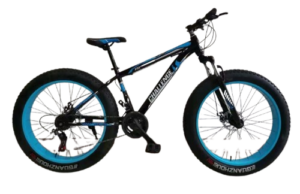 Fat Tyre Mountain Bike with Gears