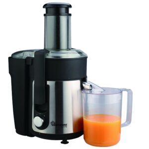 Ramtons Juice Extractor Black & Silver 2-Speed – RM/598